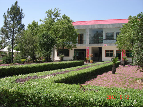 ��˾�칫��4